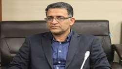 راه‌اندازی باراندازهای گیاهان دارویی برای ساماندهی تولید، فرآوری و صادرات